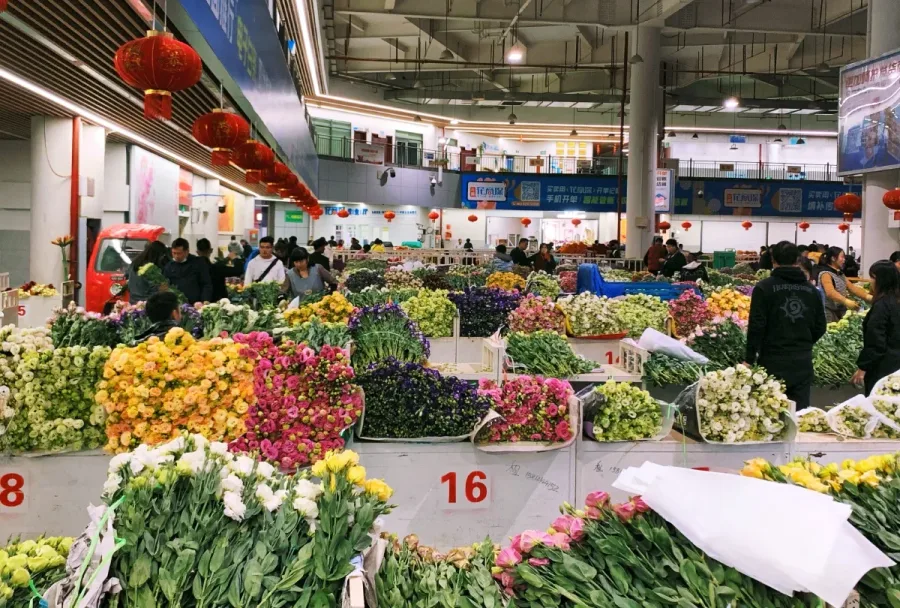 斗南花市