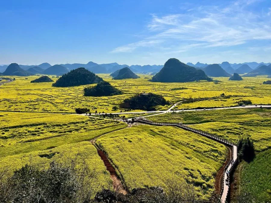 金雞峰叢