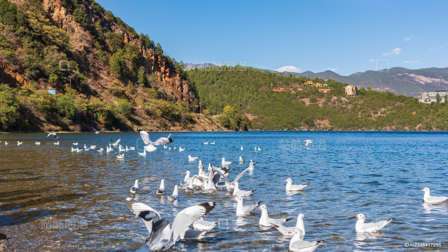 【滇西北全覽】大理・麗江・瀘沽湖・香格里拉 8天