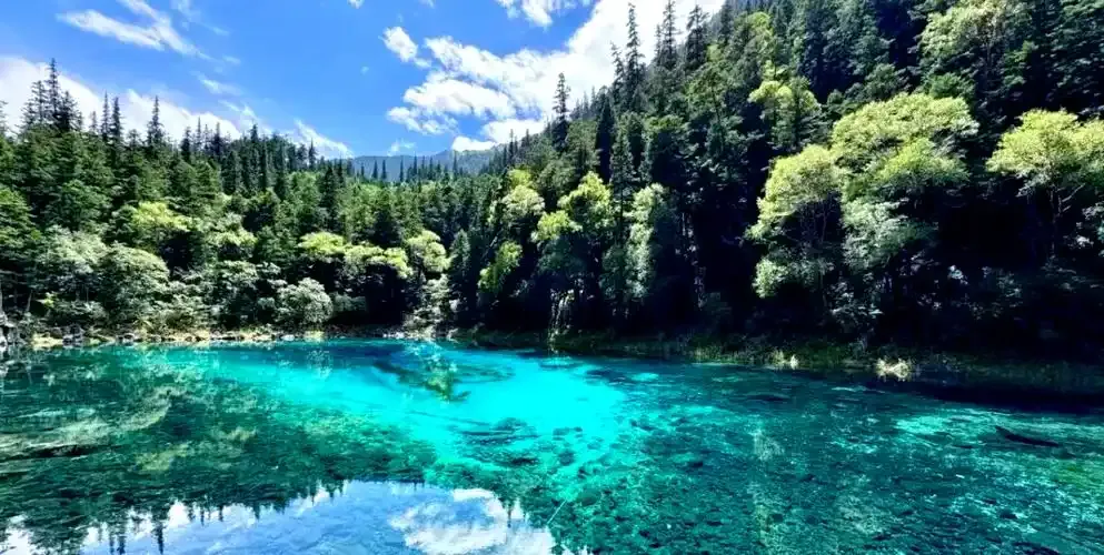 絕美九寨溝 三大世遺希爾頓 8日