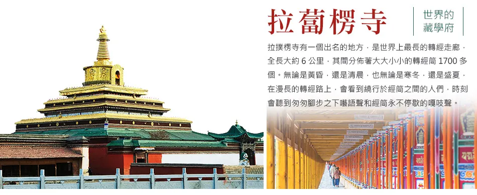 甘南秘境-洛克之路 若爾蓋大草原 麥積山石窟 10 日 行程圖片 5