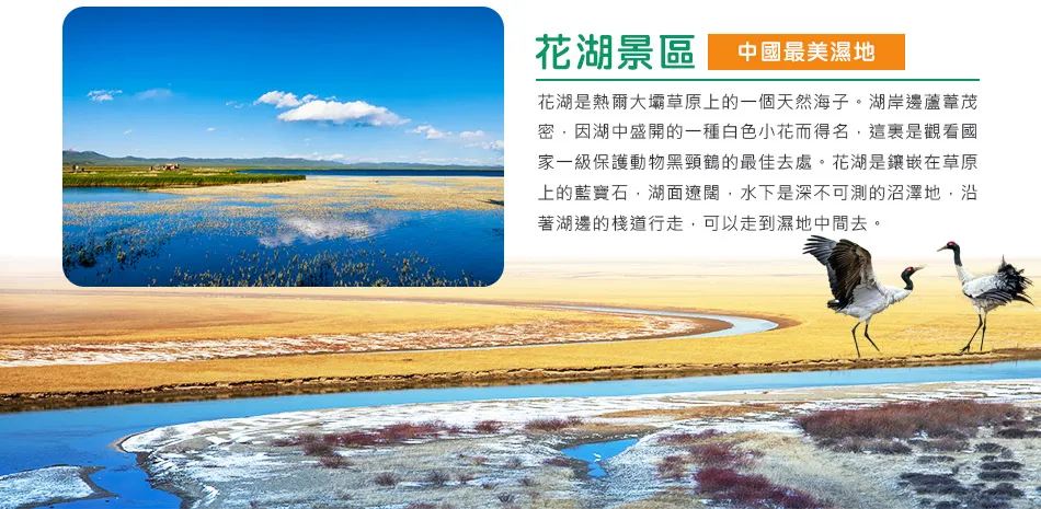 甘南秘境-洛克之路 若爾蓋大草原 麥積山石窟 10 日 行程圖片 7