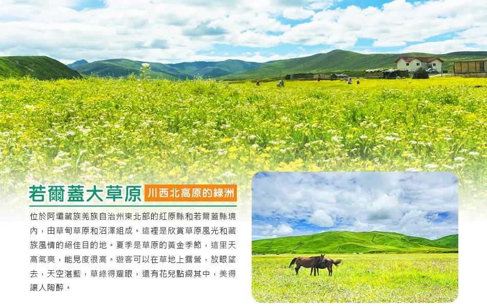 甘南秘境-洛克之路 若爾蓋大草原 麥積山石窟 10 日 行程圖片 10