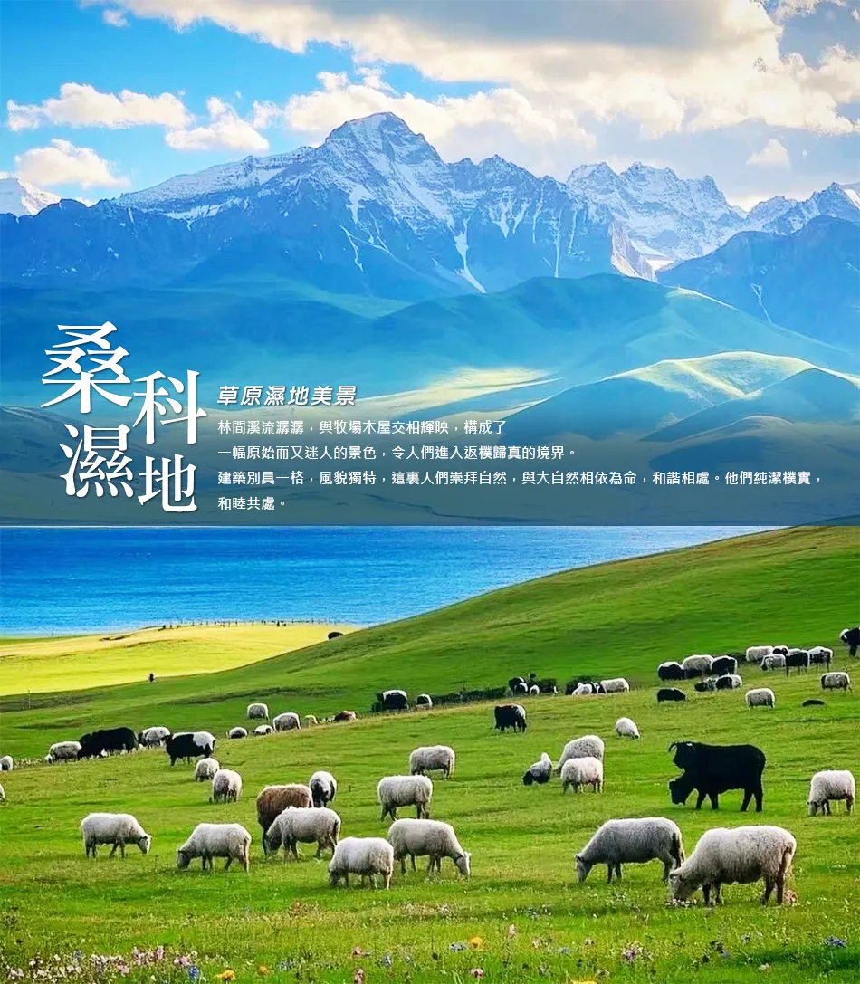 甘南秘境-洛克之路 若爾蓋大草原 麥積山石窟 10 日 行程圖片 13