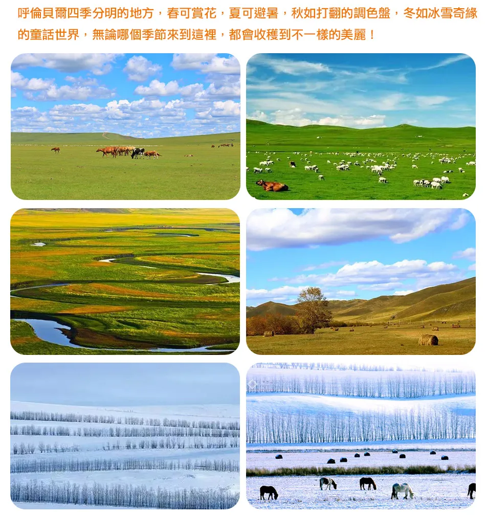 🐎呼倫貝爾大草原·滿洲里·漠河北極村·五大連池·哈爾濱10日(4人成行)🐎 行程圖片 9