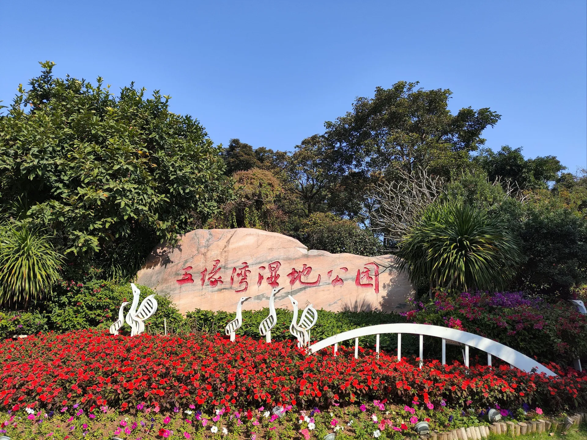 優質小團~廈門好時光、4人成行 行程圖片 7