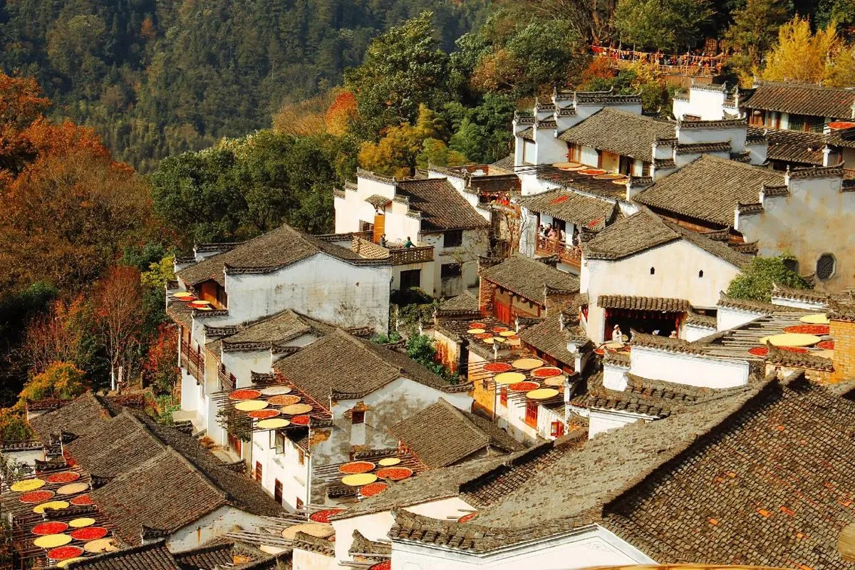 優質小團~黃山、江西婺源篁嶺好心情、4人成行 行程圖片 8