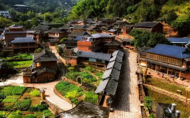 墨江 ⭢ 普洱 ⭢ 野象谷 ⭢ 版納 行程圖片 1