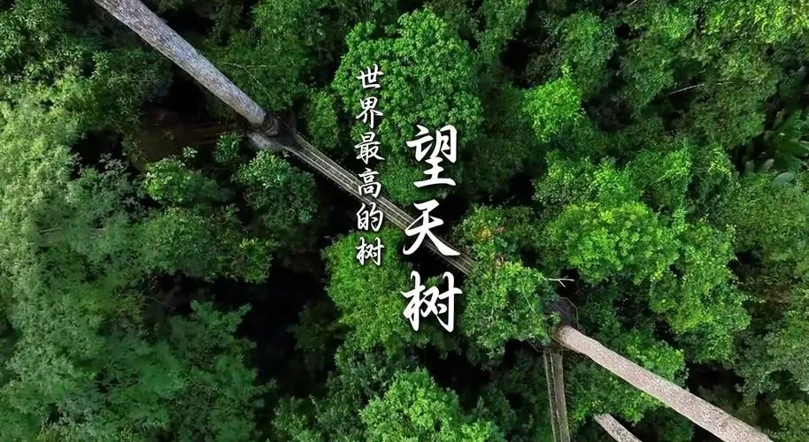 西雙版納 行程圖片 1