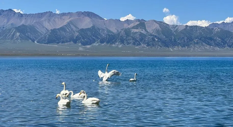奎屯 ⭢ 伊寧 行程圖片 2