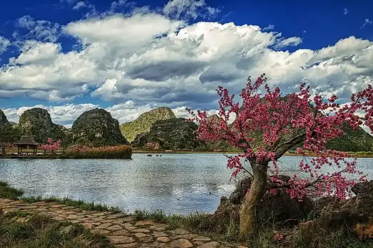 蒙自（碧色寨） 🚌 普者黑（菜花箐） 行程圖片 2
