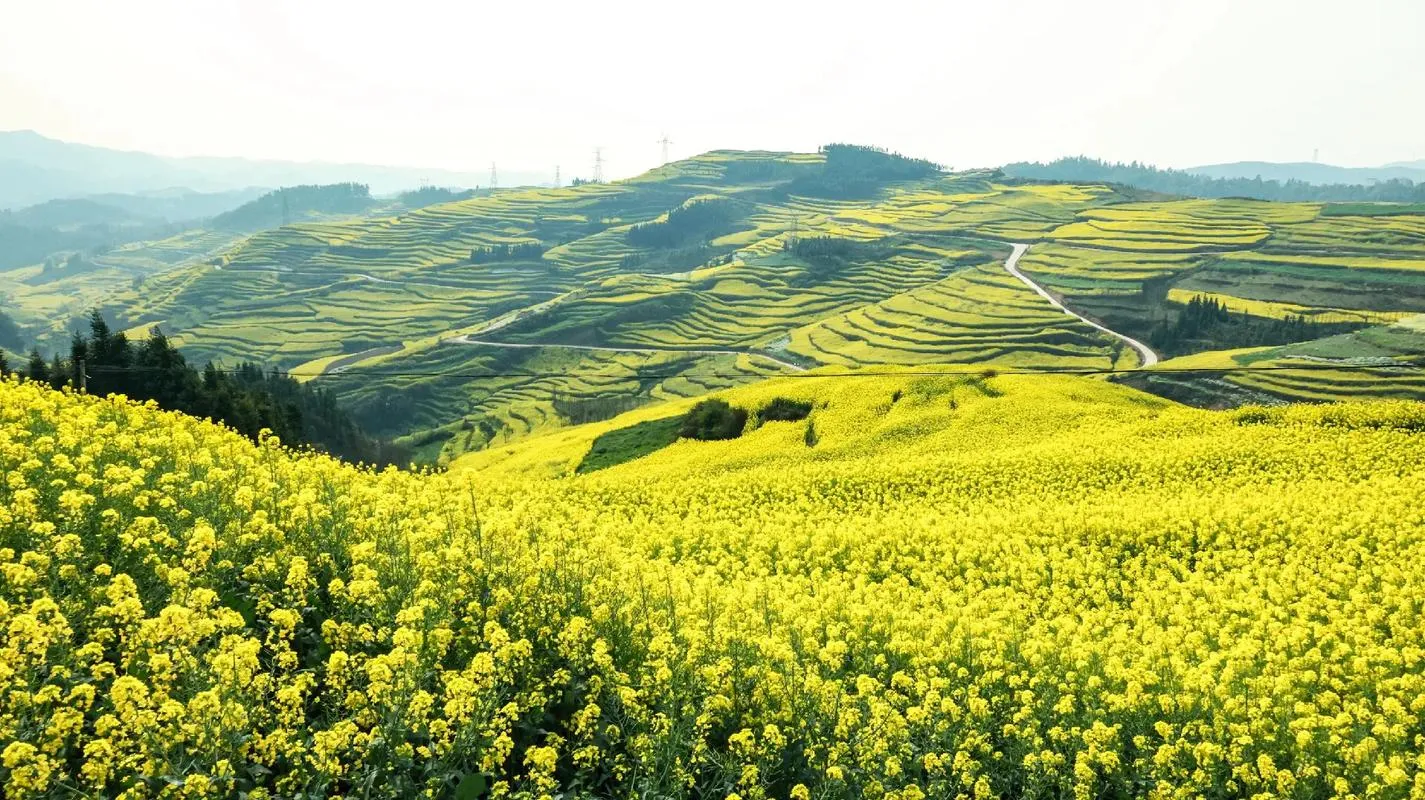 羅平 ⭢ 興義（馬嶺河峽谷·萬峰林·萬峰湖） 🚂 行程圖片 1
