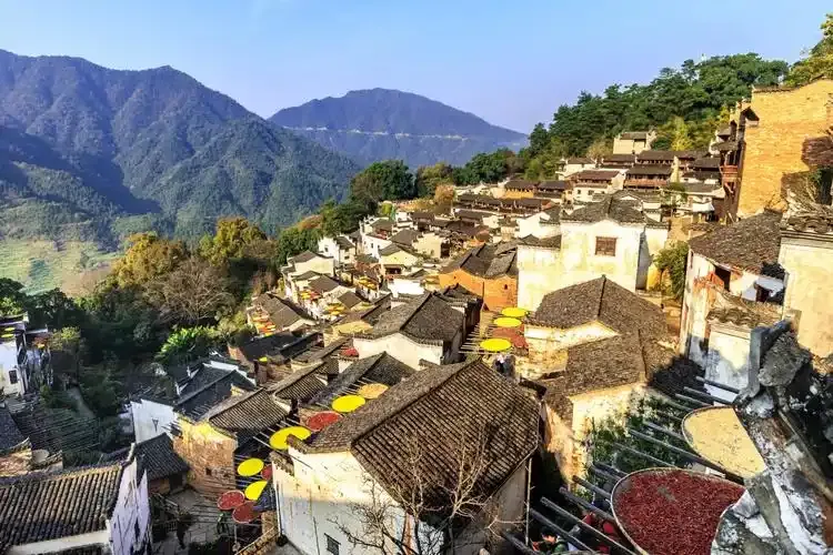 婺源（篁嶺景區） ⭢ 杭州（龍塢茶鎮） ⭢ 上海 行程圖片 1