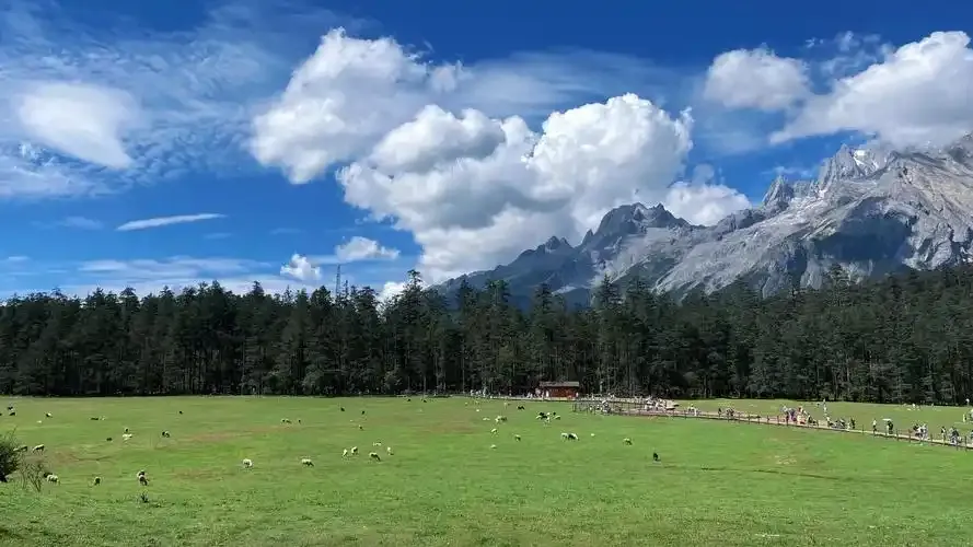 麗江【玉龍雪山雲杉坪纜車+棧道電瓶車、印象麗江歌舞秀、藍月谷+電瓶車，白沙古鎮】 行程圖片 1