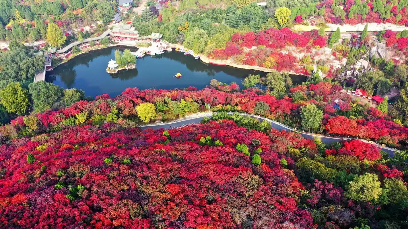 泰安 ⭢ 濟南（紅葉谷·大明湖·曲水亭街·百花洲·五龍潭） 行程圖片 1