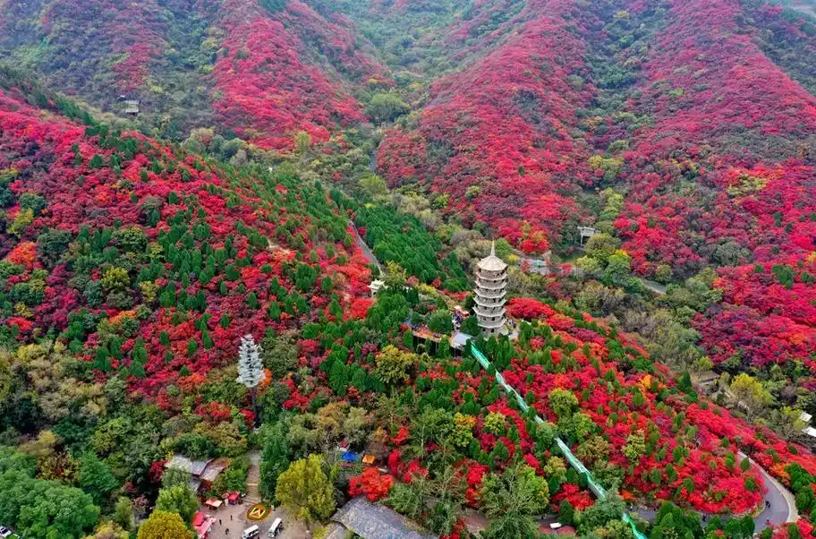 泰安 ⭢ 濟南（紅葉谷·大明湖·曲水亭街·百花洲·五龍潭） 行程圖片 2