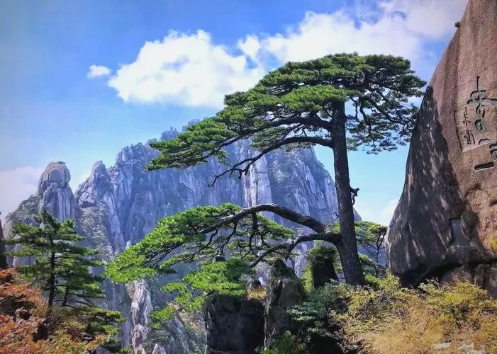 湯口 ⭢ 黃山風景區（玉屏纜車上下·前山精華） ⭢ 宏村 ⭢ 齊雲山（齊雲山夜遊·非遺打鐵花） 行程圖片 2