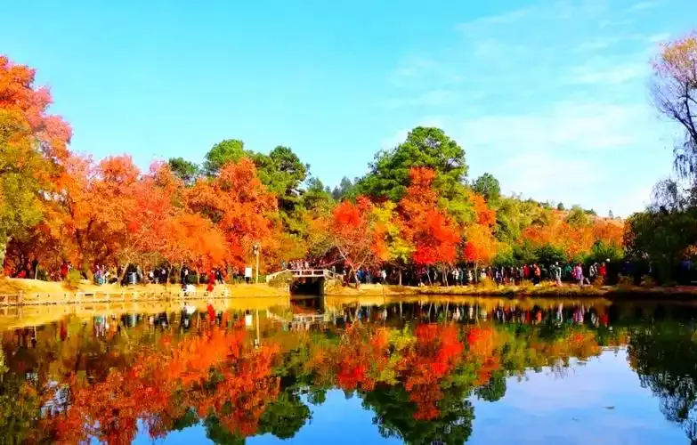 江南秋色第一章：紅楓、園林、銀杏與水鄉夜色 行程圖片 1