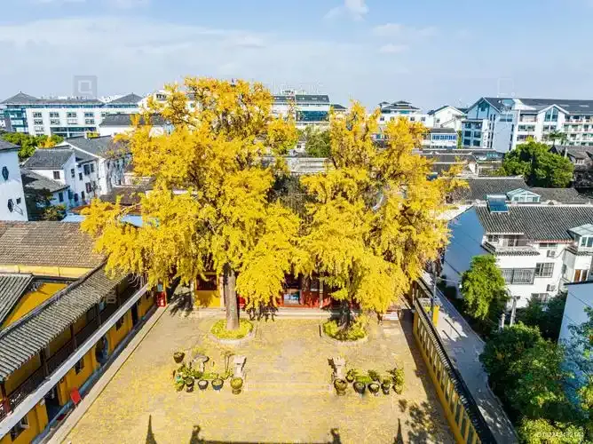 江南秋色第一章：紅楓、園林、銀杏與水鄉夜色 行程圖片 3
