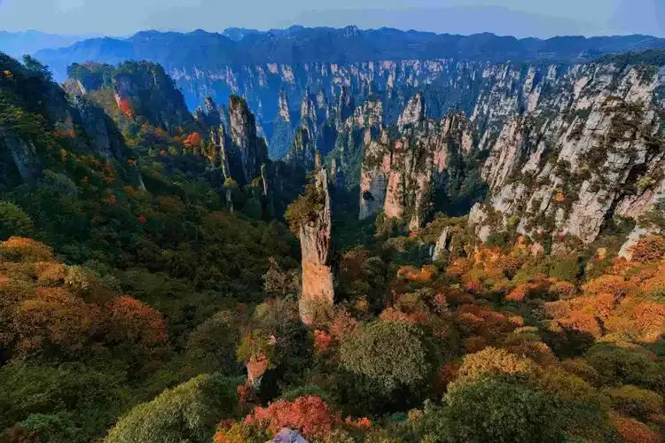 張家界國家森林公園（袁家界・天子山） 行程圖片 1