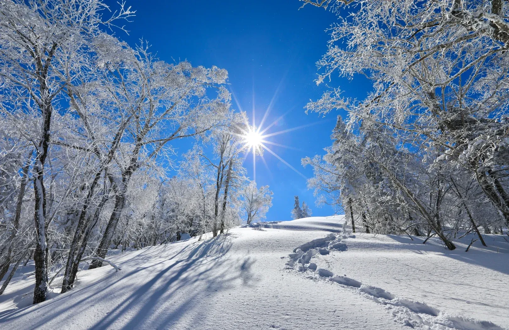 雪鄉 ⭢ 二浪河 ⭢ 哈爾濱 行程圖片 1
